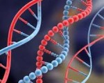 Genetic engineering