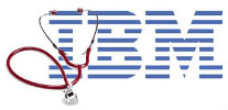 IBM presents Pune with plan for smarter healthcare and transportation