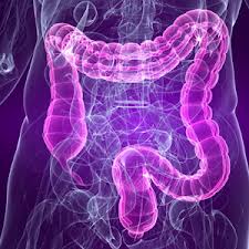 Bowel Cancer Patients to Benefit From Metabolic ‘Fingerprinting’ of Tumors