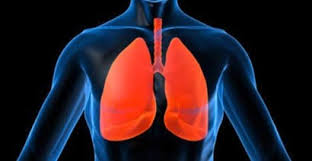 Lung Transplant Patients May Fare Better With Larger Organs