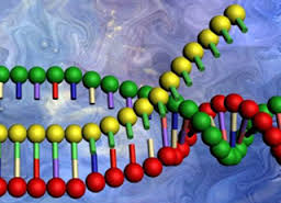 Computer Algorithms Outperformed by Crowdsourced RNA Designs