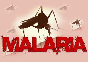 Malaria-Mosquito