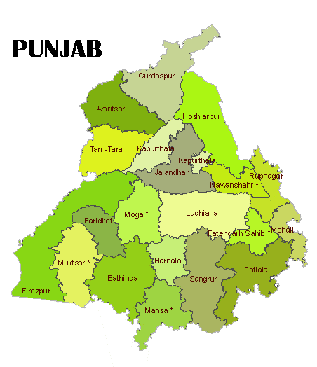 Pharma-based drugs consumption high in Punjab