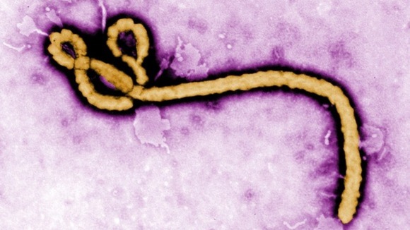 Indian admitted to RML Hospital for suspected ebola infection