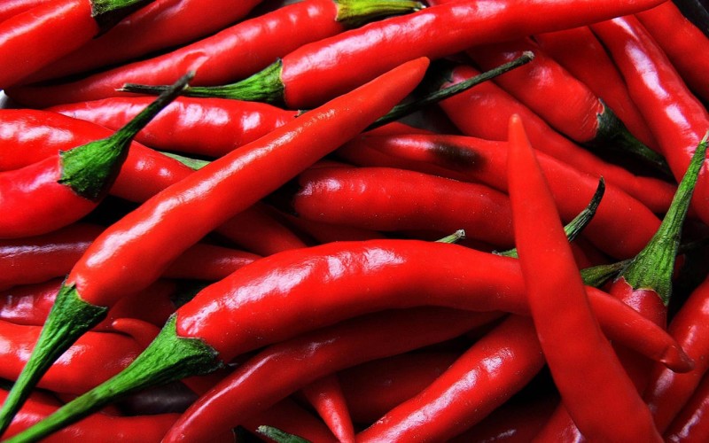 Pills made from chili compound can kill cancer cells - Elets eHealth