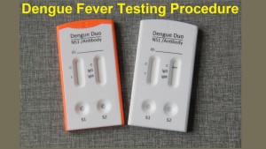 dengue test