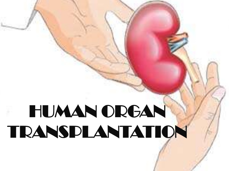 Centre of excellence in organ transplantation in Kochi