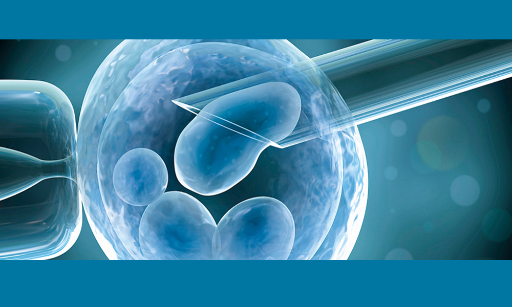 Consider these critical factors for successful IVF pregnancy