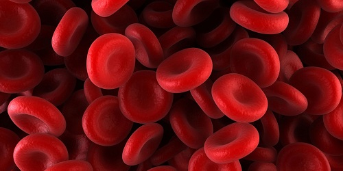 Scientists move a step closer to cure haemophilia