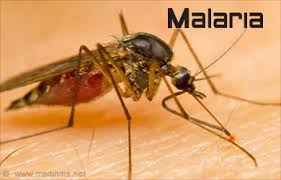 Malaria