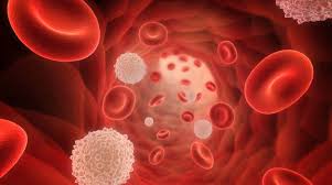 Treating Blood Cancer–The Targeted Way