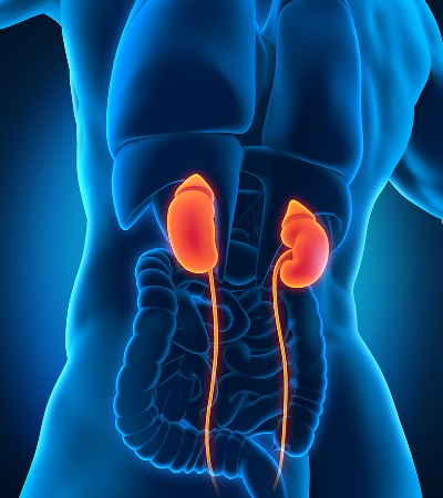 Kidney Disease