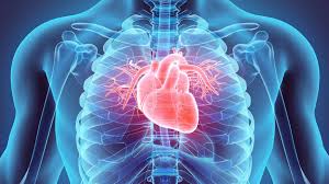 sPLA2-IIA: A new biomarker for Cardiovascular Disease Risk