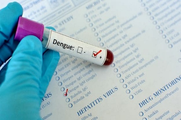 dengue cases