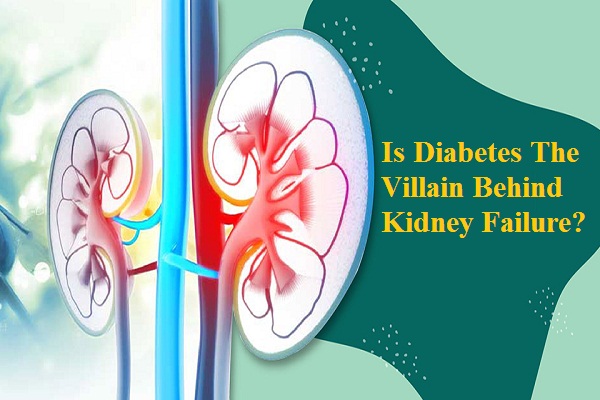 Is Diabetes the villain behind kidney failure?