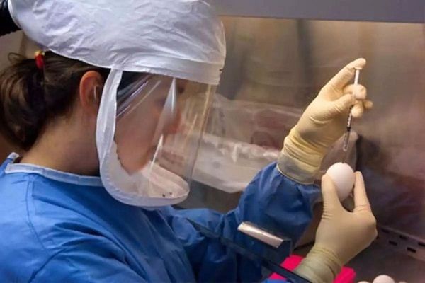 Another Chinese virus could spread disease in India, ICMR flags concern