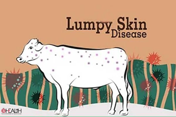 Lumpy Skin Disease