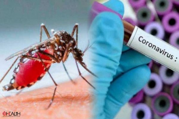 dengue and Covid