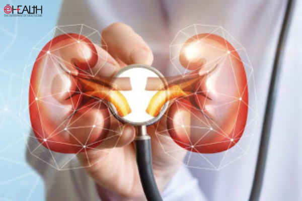 Renal Denervation Devices Market to Nearly Triple by 2033: Industry Insights & Opportunities