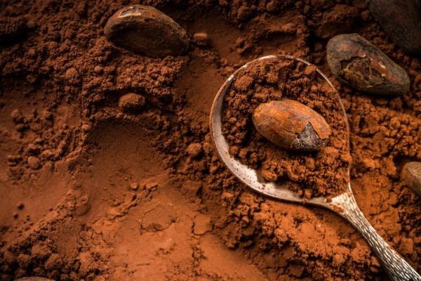 Cacao powder has ascended to the pantheon of celebrated superfoods
